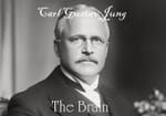 THE PILGRIMS - Carl Gustav Jung - 2. THE BRAIN